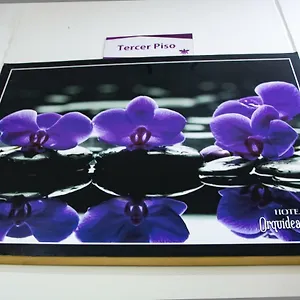 Orquidea West Funza